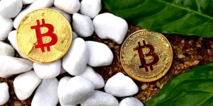 黄金价格走势分析怎么看？黄金价格走势分析：拆解2025行情