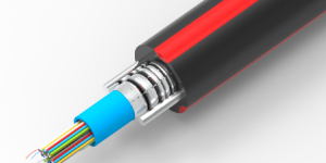 临沂分公司“防鸟啄光缆专利”：健壮山区网络，赋能乡村振兴