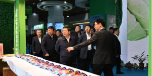 临沂联通全力保障首届山东绿色蔬菜产业博览会圆满举办