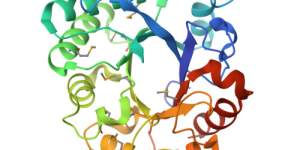 燕之屋科研攻关，赋能燕窝行业的实证研究