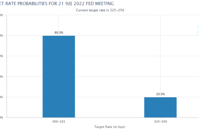 美国通胀回落幅度不及预期 市场竟开始看向9月加息100基点