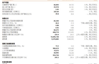 中国平安：上半年净利润同比增长3.9%