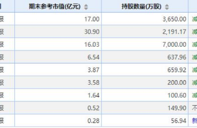 葛卫东又出手！科大讯飞股价低迷 连续7次减仓