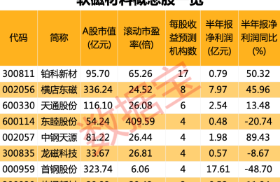 电气关键材料新组合问世 性能远超目前商用软磁材料！超六成概念股市盈率不到30倍