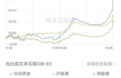 多只千亿市值股尾盘拉升 外资疯狂杀入！高位赛道股却崩了 什么信号？