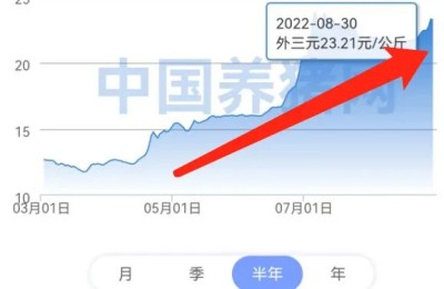 猪企集体“沦陷”、龙头巨亏67亿元！行业最坏日子要过去了吗？