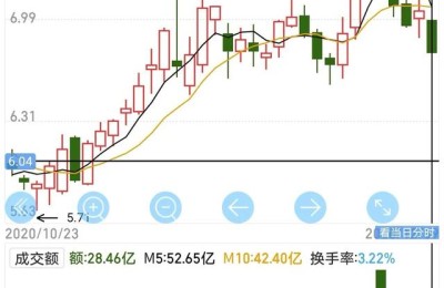 股票查询000100(股票查询000725)