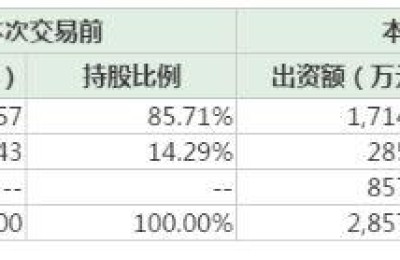 马云A股“购物车”再下一单：上海云鑫2亿元拿下新开普6.28%股权