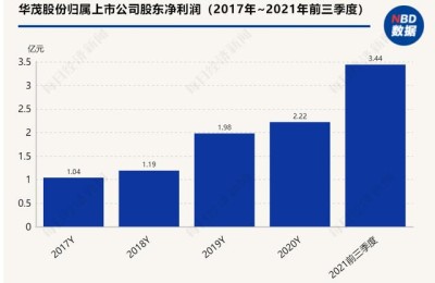 华茂股份(华茂股份股票股吧)