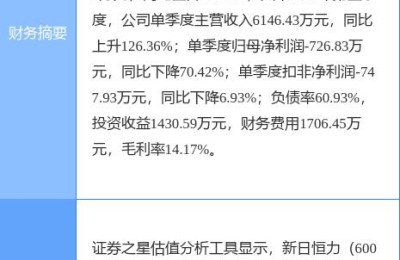 新日恒力股票(新日恒力股票股吧)