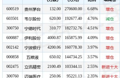 b股基金(b股基金有哪些)