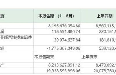 3C连锁拖累业绩 宏图高科拟47亿元剥离劣势板块