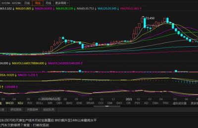 武钢股份600005(武钢股份600005价格)