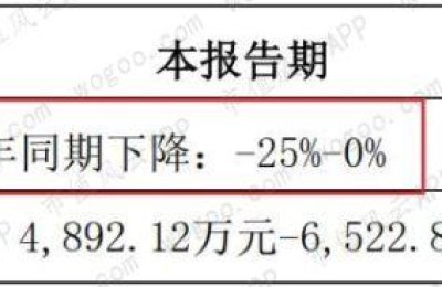 和佳股份股吧(300273和佳股份股吧)