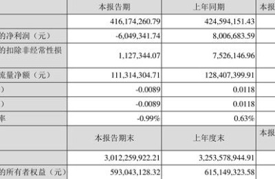 000669 金鸿控股(000669 金鸿控股最新消息)
