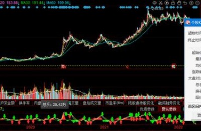 中国芯片真正龙头股(芯片龙头股)