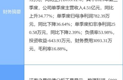 数源科技股票(数源科技股票股吧)