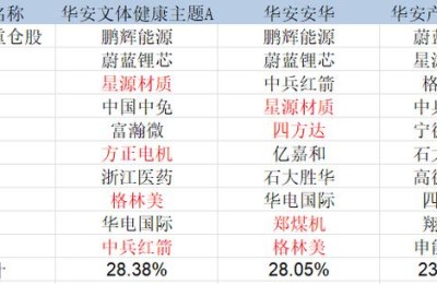 002245股票(002245股票股吧)