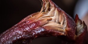 非遗牛肉干怎么选：老乐食品全场景解析