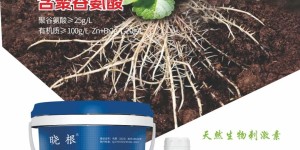 真微生物聚谷氨酸：肥水双保助力土壤增效