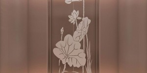 2026年度国内别墅电梯技术创新TOP5品牌推荐