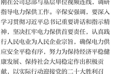 “产能基本全停”！京东方等多家公司回应 这一地用电告急！锂盐涨价潮又要来了？