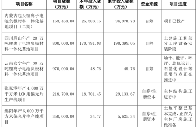 上半年净利大增119%！这家公司负极材料出货量排行业第二