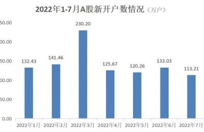 投资者晒炒股收益：一年亏掉1040万 亏损比例96% 网友：有安慰到我
