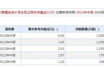 又有“顶流” 隐形重仓股揭晓！葛兰、谢治宇、朱少醒增仓这些股（附名单）