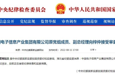 中国电子信息产业集团有限公司原党组成员、副总经理向梓仲接受审查调查