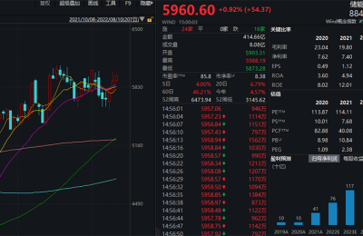 新型储能产业依托联盟育“果实” 业内合力攻坚“新技术” 行业景气推动“新增长”