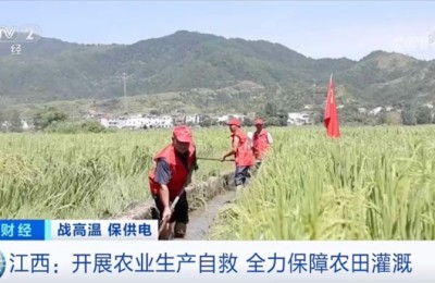 重庆多地饮水告急！安徽多地启动“应急响应”！三峡水库开启“紧急补水”模式