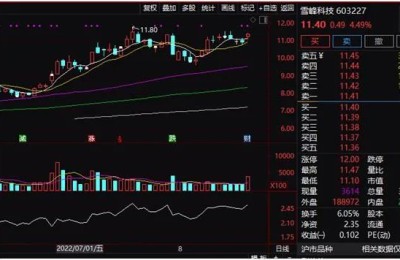 北上资金狂扫货 “牛市旗手”大爆发 地产股再走强 啥情况？