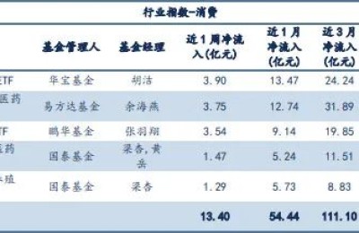 建仓细节曝光！募资超90亿 管华雨重仓这些行业