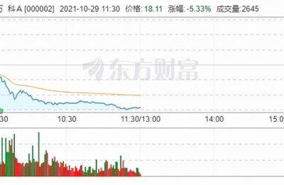 万科股吧(万科A股吧)