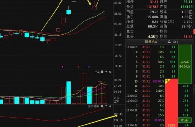 方圆支承股票(方圆支承股票代码)