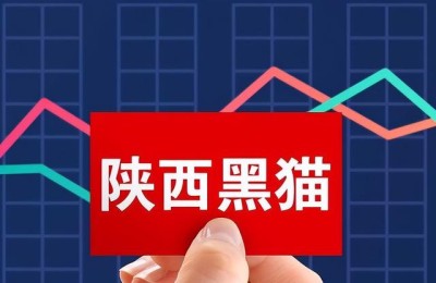 煤炭股龙头(煤炭股龙头股是哪几只)