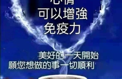 今日股票推荐(今日股票推荐哪个好)