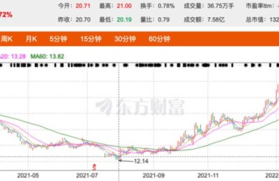 猪肉股票(猪肉股票龙头股)