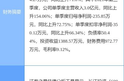 长江投资股票(长江投资股票最新消息)