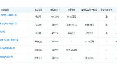 乐视股份(乐视股份的代码是多少)