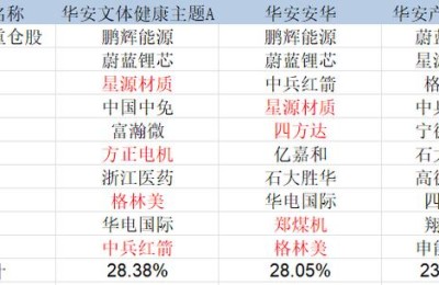 002245股票(002245股票股吧)